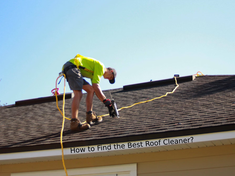 Roof Cleaning Services Near Me