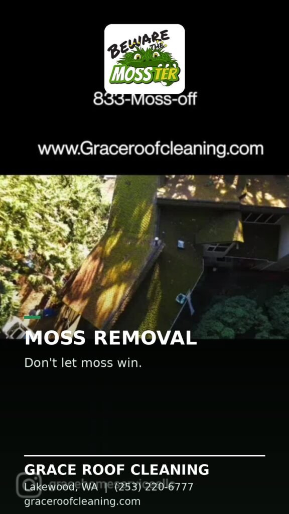 Grace Roof Cleaning crew member brushing moss off a roof